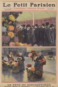 Chrysanthemums