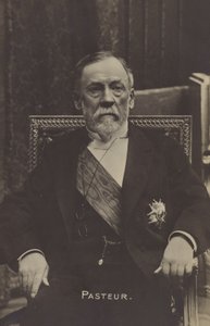 Louis Pasteur (1822-1895), French chemist and microbiologist
