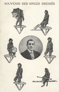 Monkeys in costume by French Photographer