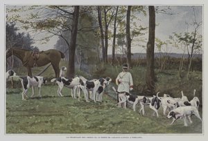 Pack of hounds of Baron de Carayon-Latour at Virelade, France by French Photographer