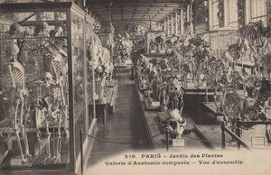 Paris, Jardin des Plantes by French Photographer