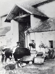 Peasants around a well, in a farmyard