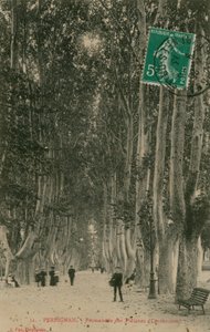 Promenade des Platanes in Perpignan