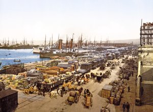 Quai de la Joliette, Marseilles, France