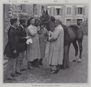 Taking a sample of blood from a horse at the Institut Pasteur, Paris
