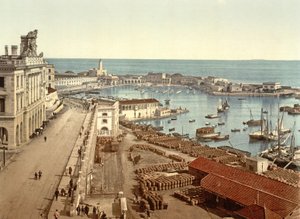 The Harbour at Algiers