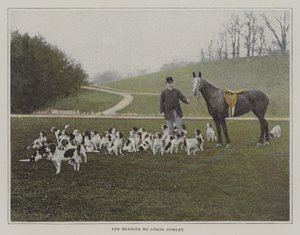 The beagles of Count Cowley by French Photographer