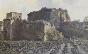 Tiffauges, Castle Ruins, View from the Courtyard by French Photographer