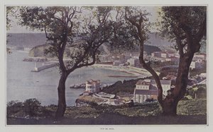 View of Nice by French Photographer