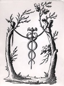 A Caduceus by French School