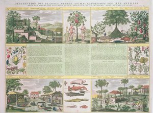 A Description of Plants, Trees, Animals and Fish Found in the Antilles