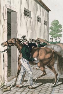 A Dragoon grooming his horse, plate 257 from a series of French Imperial soldiers