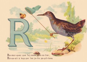 Notice that the knight bird, Success to catch the pretty butterflies