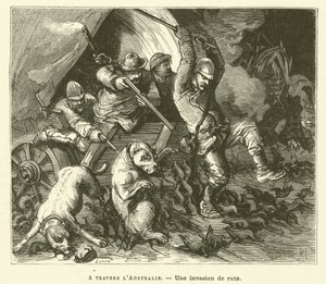 Across Australia (engraving)