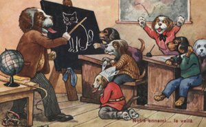 A classroom of dogs