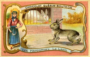 Advertising Chromolithography of Chocolates Guerin Boutron, Mammals, The Rabbit Cage and Wild, Warren