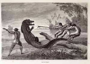 Alligator Hunt, Brazil, 