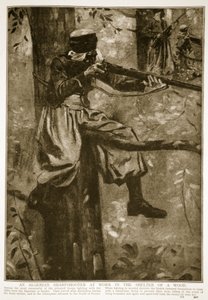 An Algerian Sharpshooter at work in the shelter of a wood by French School