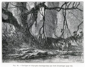 An electric telegraph line in an American forest, c.1870 by French School