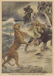 An escaped jaguar at large on a ship by French School