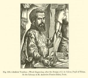 Andrew Vesalius