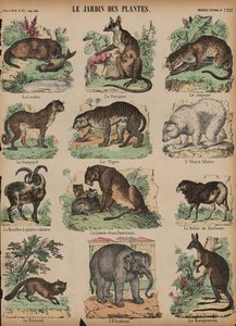 Animals at the Jardin des Plantes, Paris, France