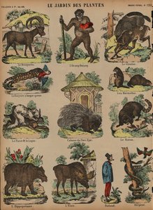 Animals at the Jardin des Plantes, Paris, France