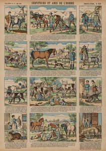 Animals Beneficial to Man