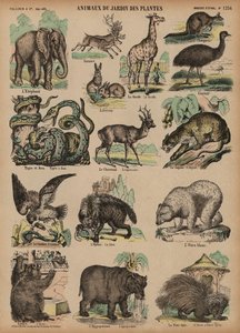 Animals of the Jardin des Plantes, Paris, France