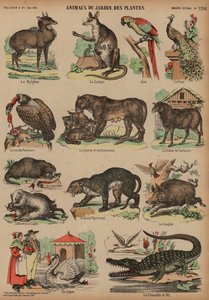 Animals of the Jardin des Plantes, Paris, France