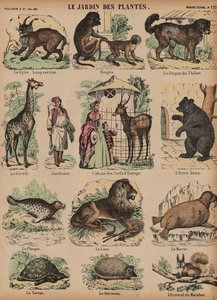 Animals of the Jardin des Plantes, Paris, France