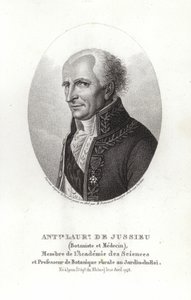 Antoine Laurent de Jussieu by French School