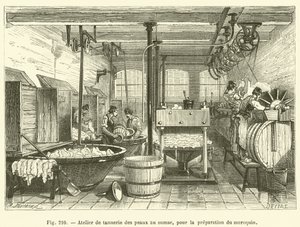 Tannery Workshop for Preparing Morocco Leather with Sumac (engraving) by French School