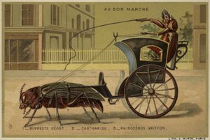 Au Bon Marche cards featuring anthropomorphic insects
