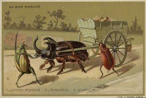 Au Bon Marche cards featuring anthropomorphic insects by French School