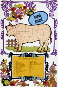 Beef meat and its pieces - Butcher poster, 20th century