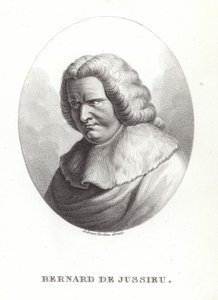 Bernard de Jussieu
