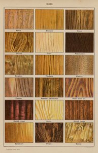 Wood by French School