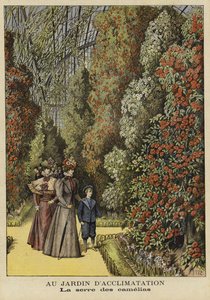 Camellia greenhouse in a botanical garden by French School