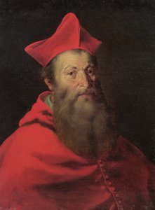 Cardinal Jacques Sadolet, Bishop of Carpentras