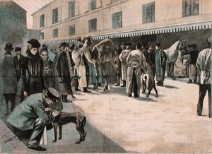 Caring for a camel at the Ecole Nationale Veterinaire d