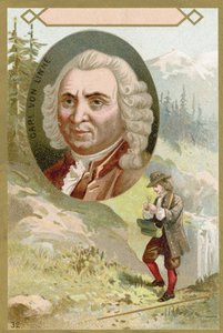 Carl Linnaeus