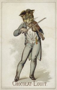 Cat playing the fiddle