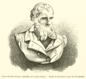 Charles-Alexandre Lesueur, Naturalist, Born and Died in Le Havre by French School