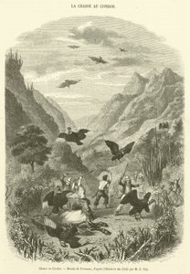 Condor Hunt by French School