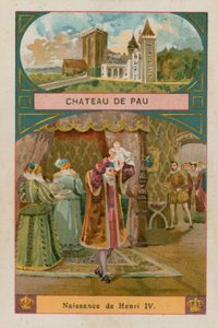 Chateau de Pau