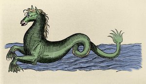 Cheval marin in “De Aquatilibus”
