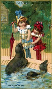 Children at zoo, looking at the sea lions by French School