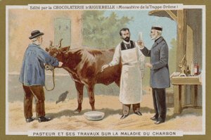 Chocolat dAiguebelle trade card by French School
