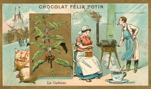 Coffee by French School